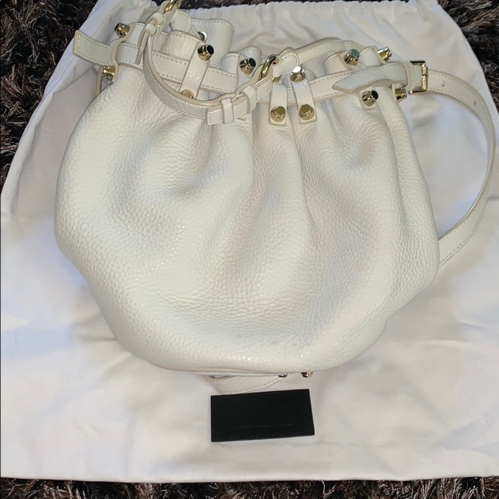 Alexander wang bucket bag